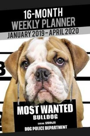 Cover of 2019-2020 Weekly Planner - Most Wanted Bulldog (Bull Dog)