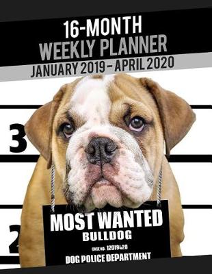 Cover of 2019-2020 Weekly Planner - Most Wanted Bulldog (Bull Dog)