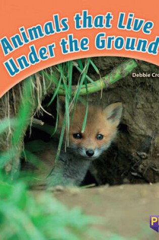 Cover of Animals that Live Under the Ground