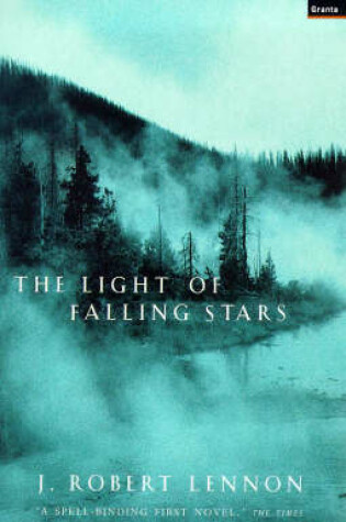 Cover of Light of Falling Stars