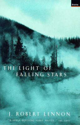 Book cover for Light of Falling Stars