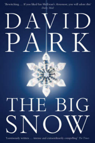 Cover of The Big Snow