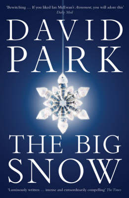 Book cover for The Big Snow