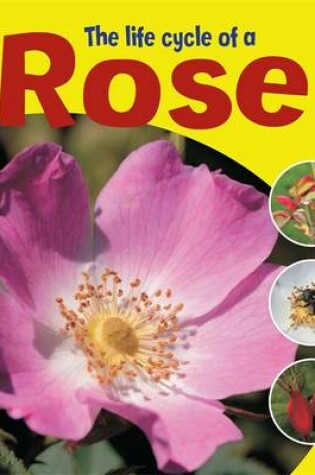 Cover of Learning About Life Cycles: The Life Cycle of a Rose