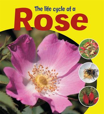 Book cover for Learning About Life Cycles: The Life Cycle of a Rose