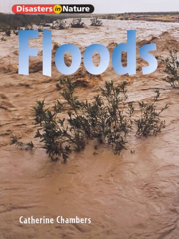 Book cover for Floods