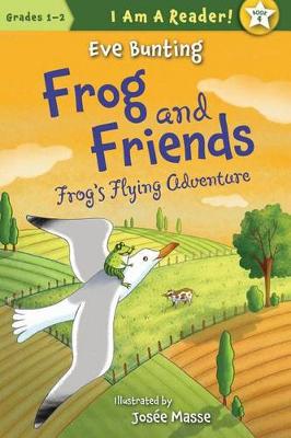 Book cover for Frog's Flying Adventure