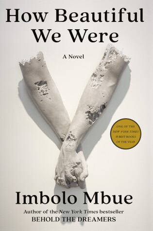 Cover of How Beautiful We Were