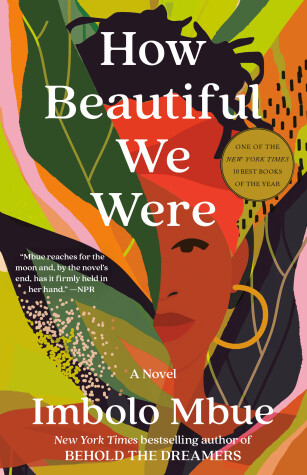 Book cover for How Beautiful We Were