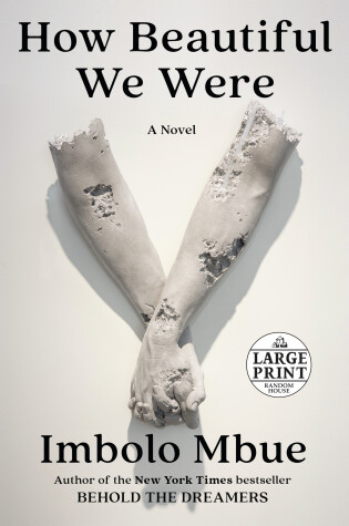 Book cover for How Beautiful We Were