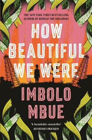 Cover of How Beautiful We Were