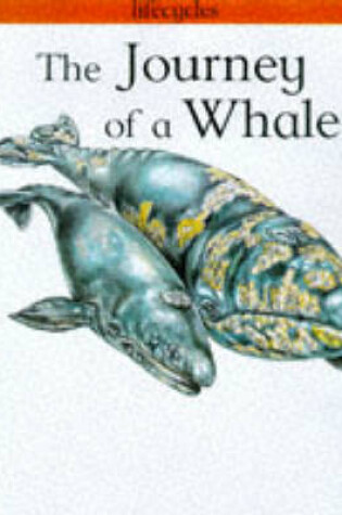 Cover of The Journey of a Whale