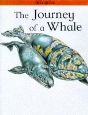 Book cover for The Journey of a Whale