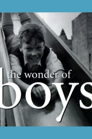 Cover of The Wonder of Boys