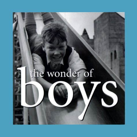 Book cover for The Wonder of Boys