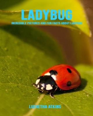 Book cover for Ladybug