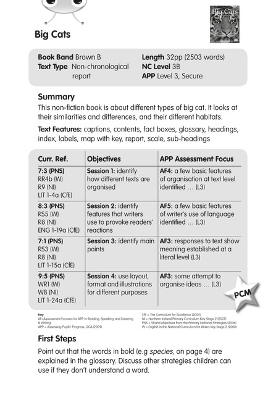 Cover of BC NF Brown B/3B Big Cats Guided Reading Card