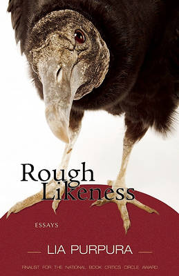 Book cover for Rough Likeness