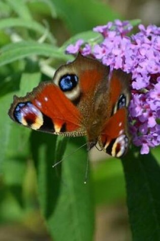 Cover of Aglais Io European Peacock Butterfly Journal