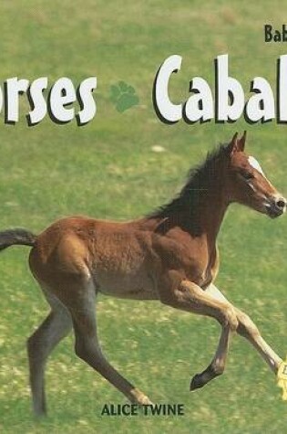 Cover of Horses / Caballos