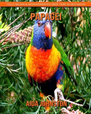 Book cover for Papagei