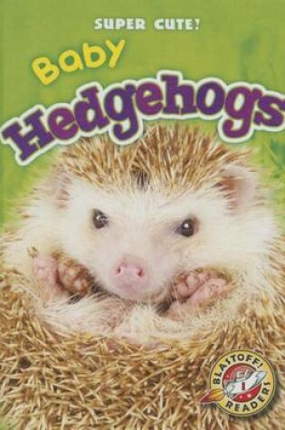 Cover of Baby Hedgehogs