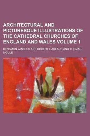 Cover of Architectural and Picturesque Illustrations of the Cathedral Churches of England and Wales Volume 1