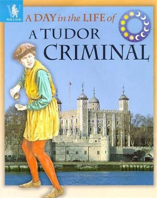 Book cover for Tudor Criminal