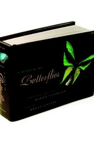 Cover of A World Of Butterflies