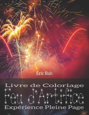 Cover of Feu d'Artifice