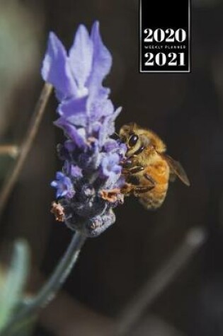 Cover of Bee Insects Beekeeping Beekeeper Week Planner Weekly Organizer Calendar 2020 / 2021 - Smell of Lavender