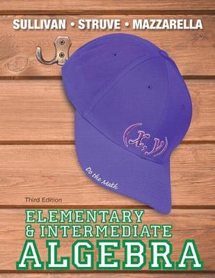 Book cover for Elementary & Intermediate Algebra (2-downloads)