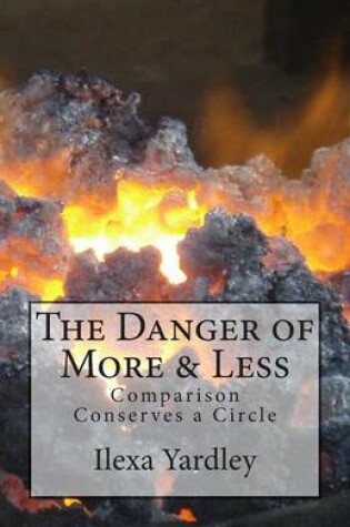 Cover of The Danger of More & Less