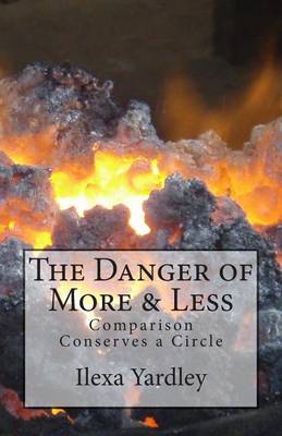 Book cover for The Danger of More & Less