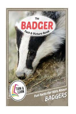 Book cover for The Badger Fact and Picture Book