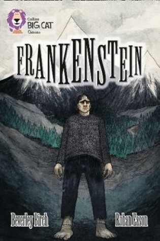 Cover of Frankenstein