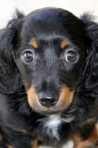 Cover of Miniature Dachshund Puppy Journal