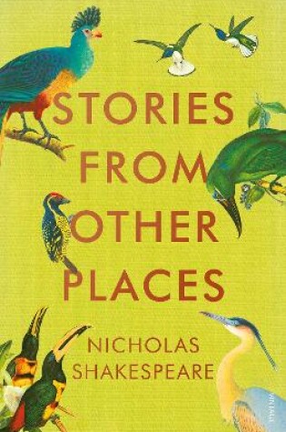 Cover of Stories from Other Places