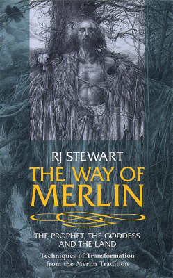 Book cover for The Way of Merlin