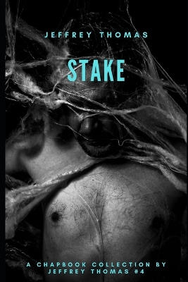 Book cover for Stake