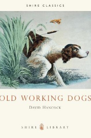 Cover of Old Working Dogs