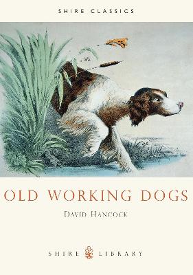 Cover of Old Working Dogs