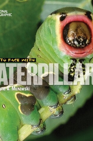 Cover of Face to Face with Catepillars