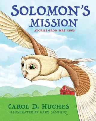 Book cover for Solomon's Mission