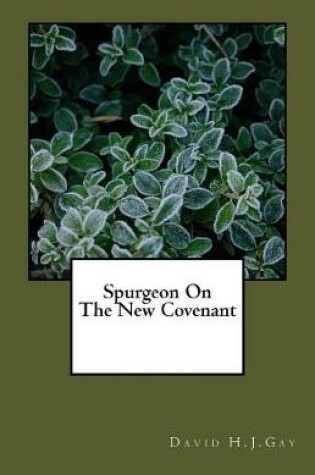 Cover of Spurgeon on the New Covenant