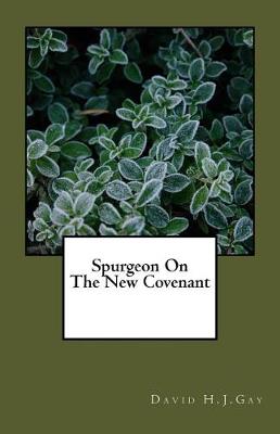 Book cover for Spurgeon on the New Covenant