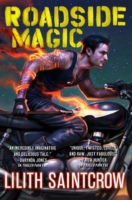 Book cover for Roadside Magic