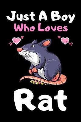 Book cover for Just a boy who loves rat