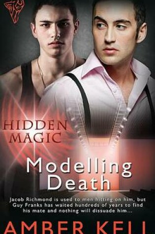 Cover of Modelling Death