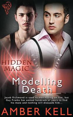 Book cover for Modelling Death